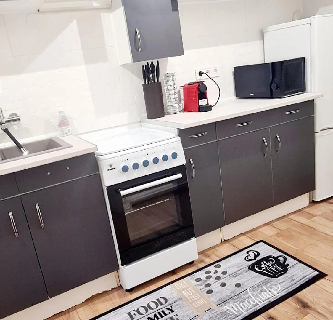 2 Separate Bedrooms And Living Room Fully Equipped With Ac ブダペスト